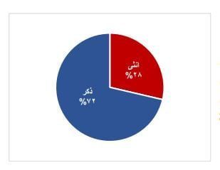 نسبة الشهداء الذكور مقابل الإناث