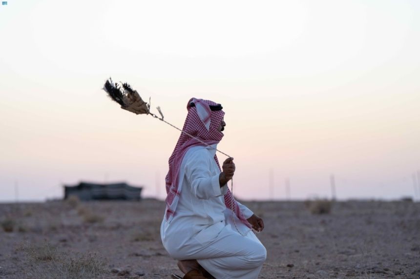 تدريب الصقور وإعدادها للمقناص في براري رفحاء - واس