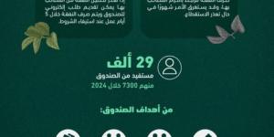 صندوق النفقة.. إجراءات إلكترونية ميسّرة تضمن صرف النفقة للمستفيدين دون تأخير - بوابة فكرة وي