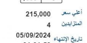 بطل بـ 350 ألف وبوب بـ 1.5 مليون جنيه، أسعار اللوحات المعدنية المميزة (صور) - بوابة فكرة وي