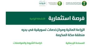 "البيئة" تطرح فرصة استثمارية لإنتاج وتسويق الخضراوات والفواكه في بحرة مكة - بوابة فكرة وي