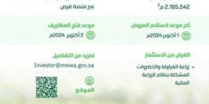 "البيئة" تطرح فرصة استثمارية لإنتاج وتسويق الخضروات والفواكه - بوابة فكرة وي