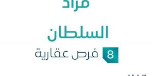 8 فرص عقارية .. مزاد عقاري جديد من مؤسسة سهوم للخدمات العقارية في عسير - بوابة فكرة وي