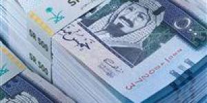 سعر الريال السعودي مقابل الجنيه في بداية تعاملات اليوم الأربعاء - بوابة فكرة وي