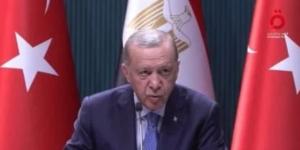 أردوغان: اتفقنا مع مصر على عقد مشاورات منتظمة لحل القضايا الإقليمية - بوابة فكرة وي