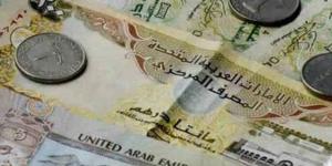 سعر الدرهم الإماراتي مقابل الجنيه المصري اليوم الاثنين 9 سبتمبر 2024 - بوابة فكرة وي