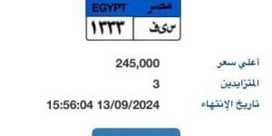 لوحة "س ى ف- 1333" المميزة سعرها يصل 245 ألف جنيه فى بداية المزاد - بوابة فكرة وي