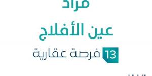 13 فرصة عقارية .. مزاد عقاري جديد من شركة إفادة العقارية في الأفلاج - بوابة فكرة وي