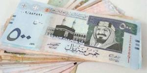 سعر الريال السعودي اليوم السبت 14-9-2024 - بوابة فكرة وي