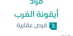 3 فرص عقارية .. مزاد عقاري جديد من شركة خبير للمزادات في منطقة الرياض - بوابة فكرة وي