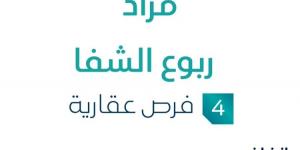 4 فرص عقارية .. مزاد عقاري جديد من شركة صفوة الإحسان التجارية في الرياض - بوابة فكرة وي