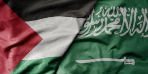 "السعودية".. نهج ثابت في دعم فلسطين وشعبها لنيل حقوقهم - بوابة فكرة وي