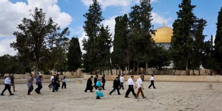 قاضي قضاة فلسطين: مسؤولية الدفاع عن المسجد الأقصى في أعناق المسلمين - بوابة فكرة وي