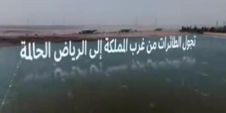 المملكة تقود تحوّل قطاع الخدمات اللوجستية العالمية - بوابة فكرة وي