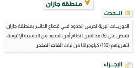 حرس الحدود بجازان يقبض على 6 مخالفين لنظام أمن الحدود لتهريبهم 130 كلجم من نبات القات المخدر - بوابة فكرة وي