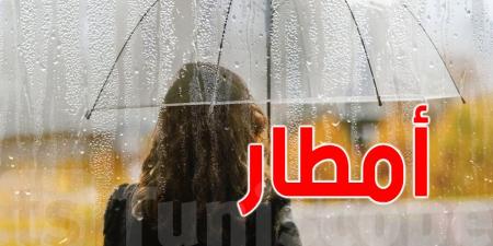 عاجل : خلايا رعدية مصحوبة بأمطار أحيانا غزيرة بهذه المناطق - بوابة فكرة وي