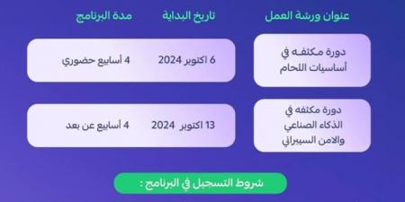 مدينة جازان للصناعات الأساسية تعلن التسجيل في دورات مهنية بأكاديمية الهيئة الملكية - بوابة فكرة وي