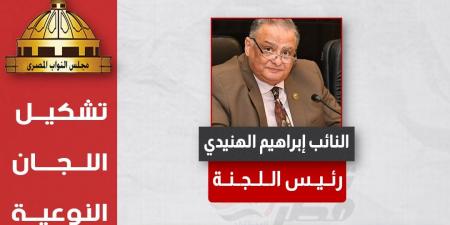 تغيرات بسيطة بالاقتصادية والشباب والرياضة ..التشكيل الكامل لهيئات مكاتب 25 لجنة نوعية بمجلس النواب لدور الانعقاد الخامس - بوابة فكرة وي