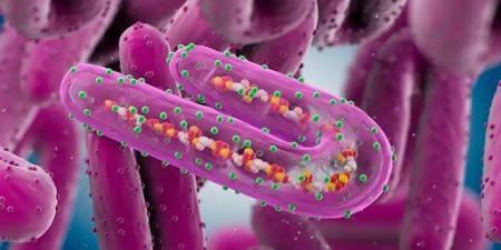 أخبار الرياضة - فيروس جديد يهدد العالم.. ماذا تعرف عن "ماربورغ" وما أعراضه وطرق انتقاله للبشر؟ - بوابة فكرة وي