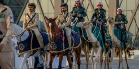 المسيرة العسكرية وعروض الفروسية وسباق الدعو.. مناطق جديدة بـ"معرض الصقور" - بوابة فكرة وي