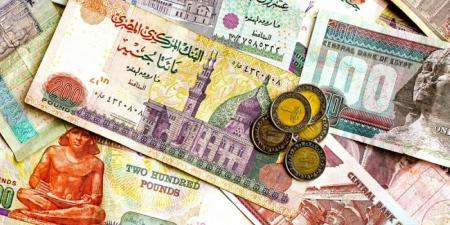 سعر الدولار اليوم مقابل الجنيه المصري.. استقرار في البنوك - بوابة فكرة وي