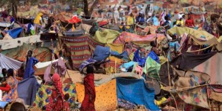 مصر تنفي اتهامات "الدعم السريع" بالمشاركة في معارك السودان - بوابة فكرة وي