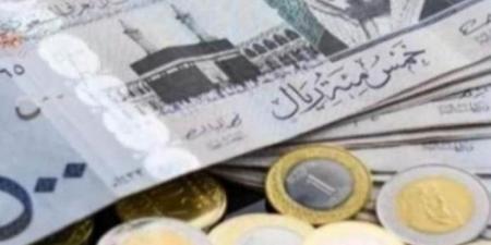 بالبلدي : سعر الريال السعودي اليوم الخميس 10-10-2024 في البنوك - بوابة فكرة وي