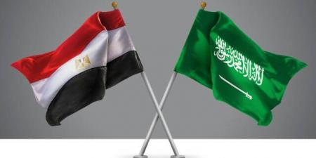 مدبولي: الاتفاقيات الأخيرة بين مصر والسعودية تعزز زخم الاستثمارات المشتركة - بوابة فكرة وي