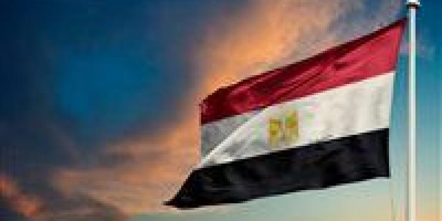 مصر تدين استمرار الاعتداءات الإسرائيلية في الضفة الغربية.. وتحذر من سياسة الأرض المحروقة - بوابة فكرة وي