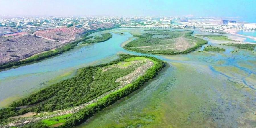 محمية خور المزاحمي.. واجهة الموائل الطبيعية والتنوع البيولوجي في رأس الخيمة - بوابة فكرة وي