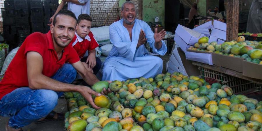 القومي لسلامة الغذاء: البطاطا والمانجو والفاصوليا أكثر الحاصلات الزراعية المصدرة خلال أغسطس - بوابة فكرة وي