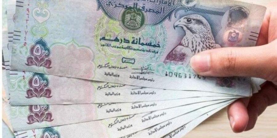 سعر الدرهم الإماراتي في مصر اليوم.. الأحد 1 سبتمبر 2024 - بوابة فكرة وي