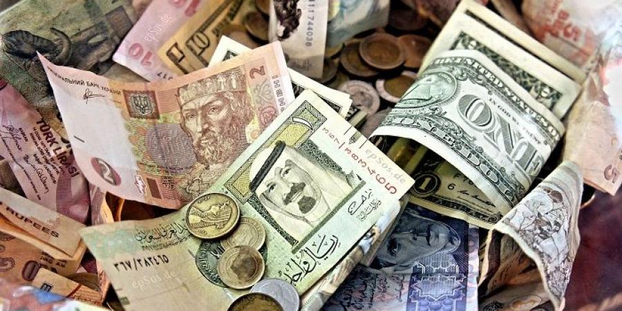 سعر الريال السعودي والدرهم الإماراتي والدينار الكويتي اليوم الأحد - بوابة فكرة وي