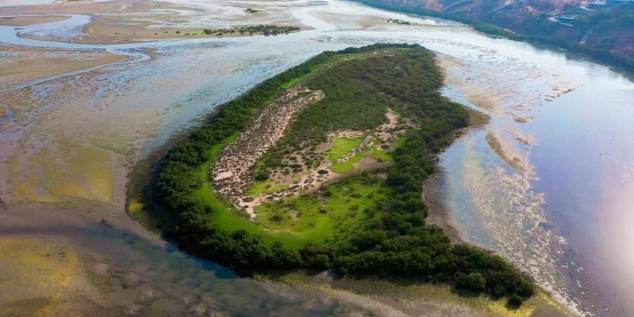 «خور المزاحمي».. واجهة الموائل الطبيعية في رأس الخيمة - بوابة فكرة وي