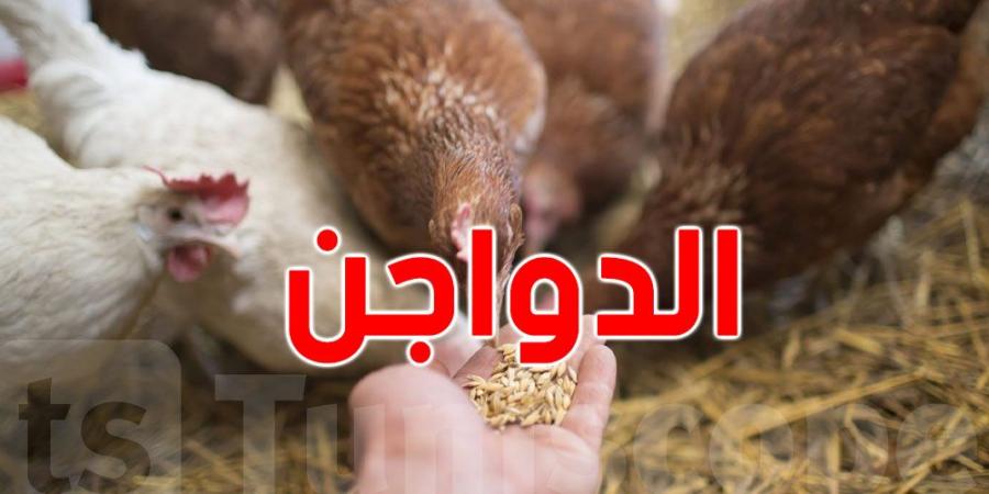 رئيس غرفة تجار الدواجن واللّحوم البيضاء: هناك تراجع في الإنتاج وهذه تسعيرة الدجاج..التفاصيل - بوابة فكرة وي