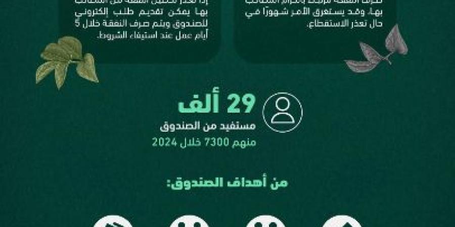 صندوق النفقة: 29 ألف مستفيد من الأسر المستحقة - بوابة فكرة وي