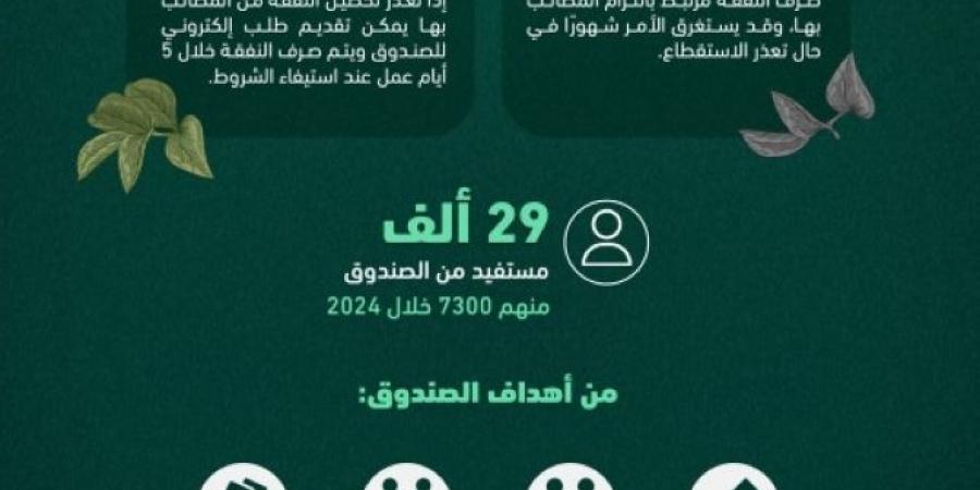 صندوق النفقة.. إجراءات إلكترونية ميسّرة تضمن صرف النفقة للمستفيدين دون تأخير - بوابة فكرة وي