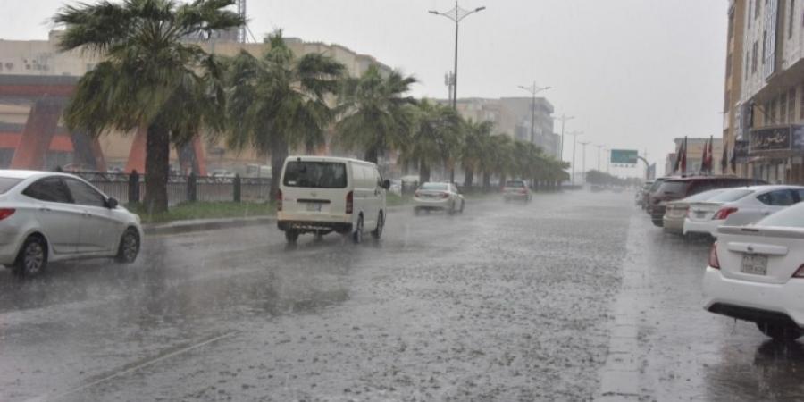 "الأرصاد ": أمطار غزيرة على بدر وينبع النخل وجازان - بوابة فكرة وي