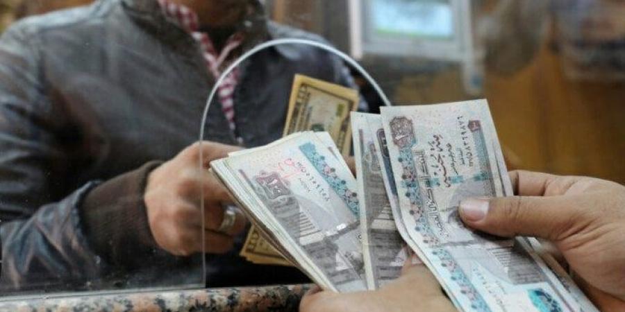 بالبلدي : موعد استحقاق مرتبات شهر سبتمبر 2024 لـ عاملين القطاع الخاص والحكومة - بوابة فكرة وي