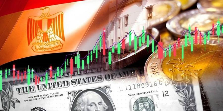 تقرير دولي: تحسن أداء القطاع الخاص في مصر لأول مرة منذ نوفمبر 2020 - بوابة فكرة وي