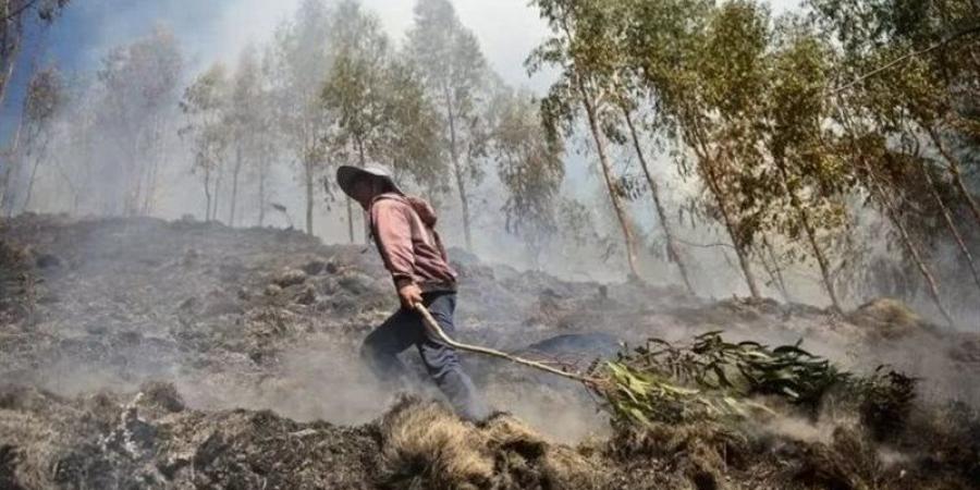 موعد انطلاق مؤتمر تغير المناخ COP29 في باكو بأذربيجان - بوابة فكرة وي