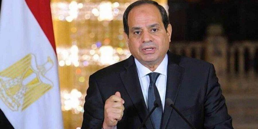 الرئيس السيسي: ما تعيشه المنطقة من أزمات يؤكد أهمية التنسيق والتعاون بين مصر وتركيا - بوابة فكرة وي