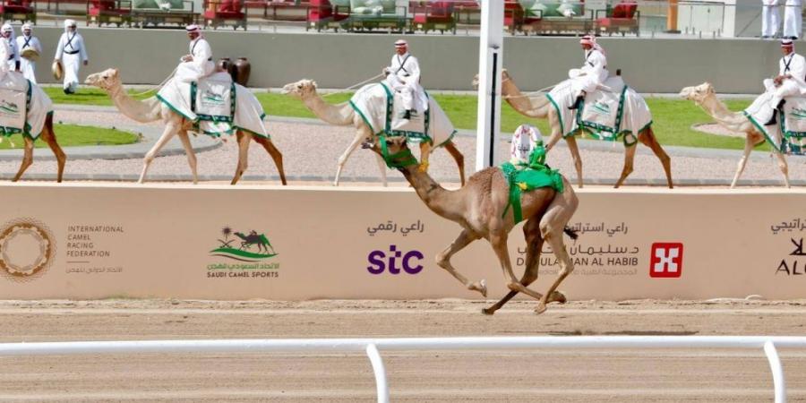 أخبار الرياضة - توِّجت بكأس ولي العهد.. «العلا» تبهج السعوديين - بوابة فكرة وي