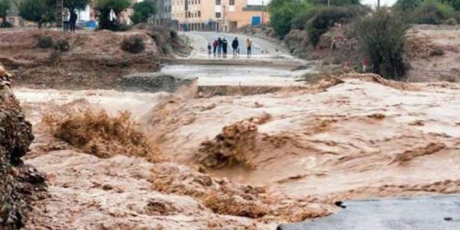 عواصف استوائية مدمرة تضرب المغرب والجزائر: أيّ تأثير على تونس؟ - بوابة فكرة وي