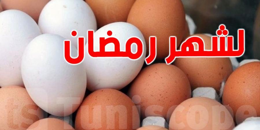 تونس: توصيات وزير الفلاحة بخصوص مخزون البيض - بوابة فكرة وي