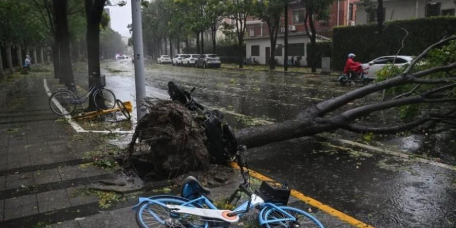 صور| الإعصار بيبينكا يجتاح شنغهاي الصينية.. وإعلان الطوارئ بالمدينة - بوابة فكرة وي