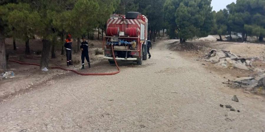 سليانة: السيطرة على حريق جبل برقو على مستوى منطقة الدخيلة - بوابة فكرة وي