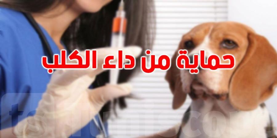 إجراءات الوقاية للحماية من داء الكلب - بوابة فكرة وي