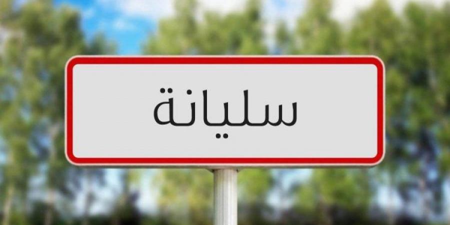 سليانة: اتخاذ جملة من الإجراءات لمكافحة نبتة الشويكة الصفراء - بوابة فكرة وي