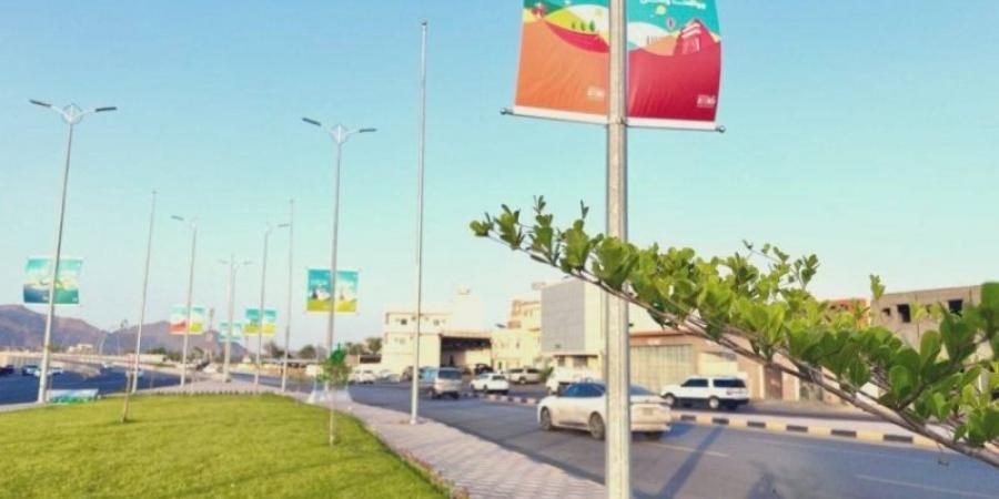 106 حديقة تتهيأ للاحتفال باليوم الوطني في نجران - بوابة فكرة وي